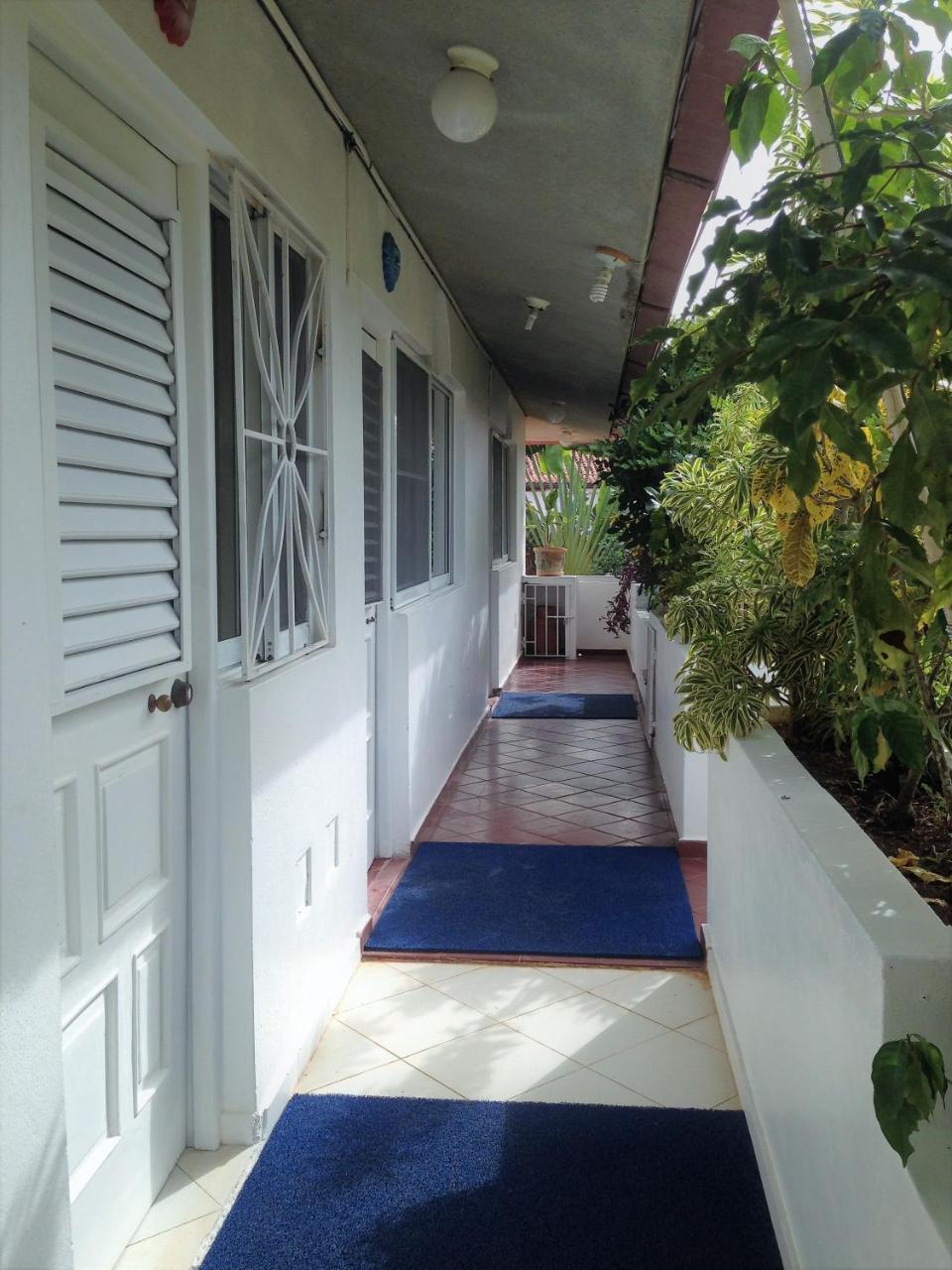 Casa Felicita B&B Y Apartamentos 바야히베 외부 사진