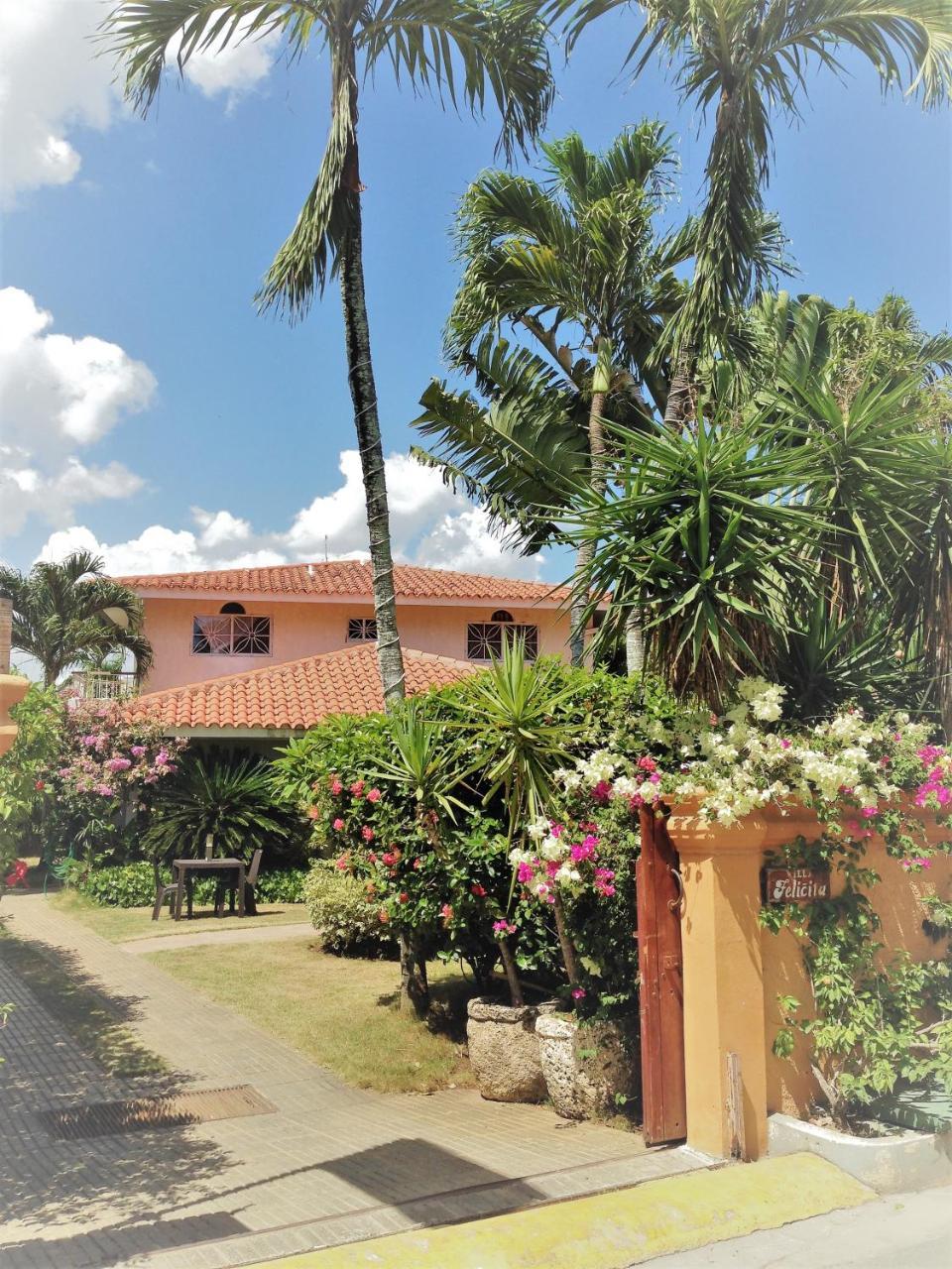 Casa Felicita B&B Y Apartamentos 바야히베 외부 사진